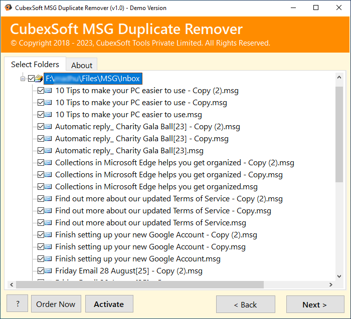 delete duplicate items in outlook msg
